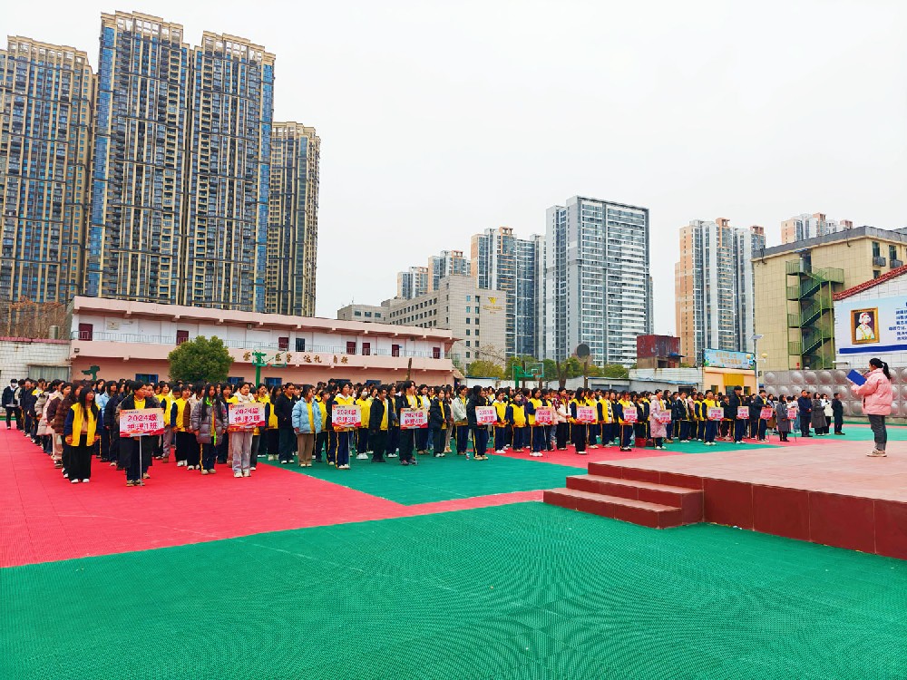 杨晶主持-3.jpg